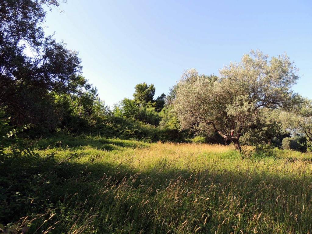 Terreno a Scafa in Piazza Giacomo Matteotti - Foto 5
