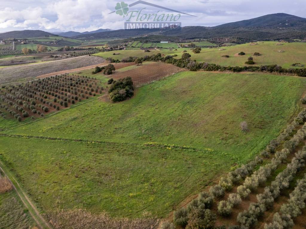 Terreno a Capalbio in Strada Cava del Gesso - Foto 2