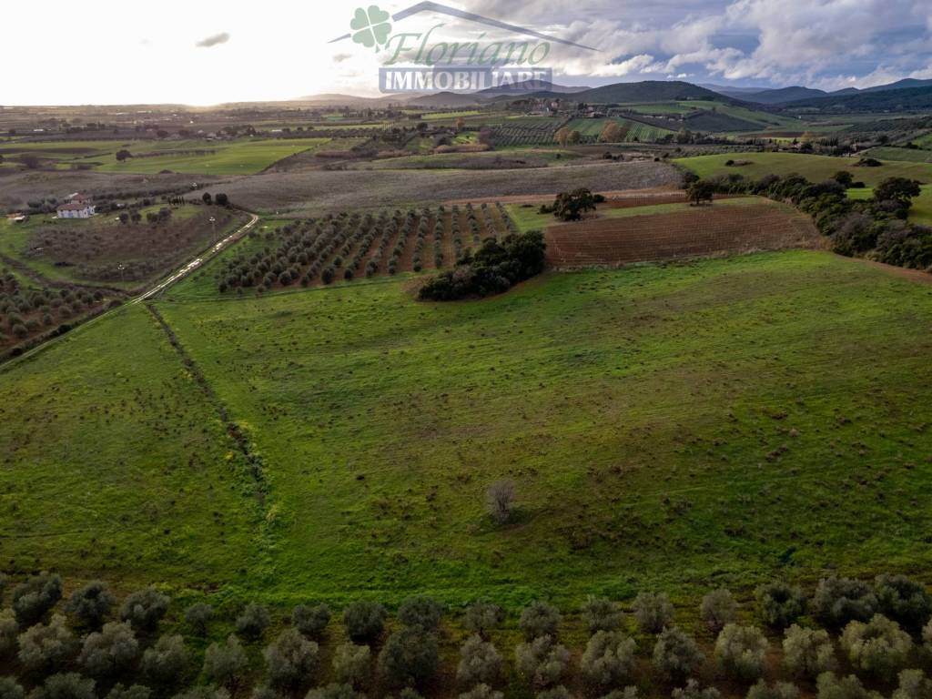 Terreno a Capalbio in Strada Cava del Gesso - Foto 3