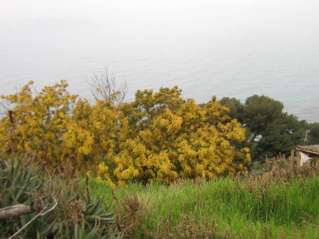 Rustico / casale a Imperia in Via Collarina - Foto 5