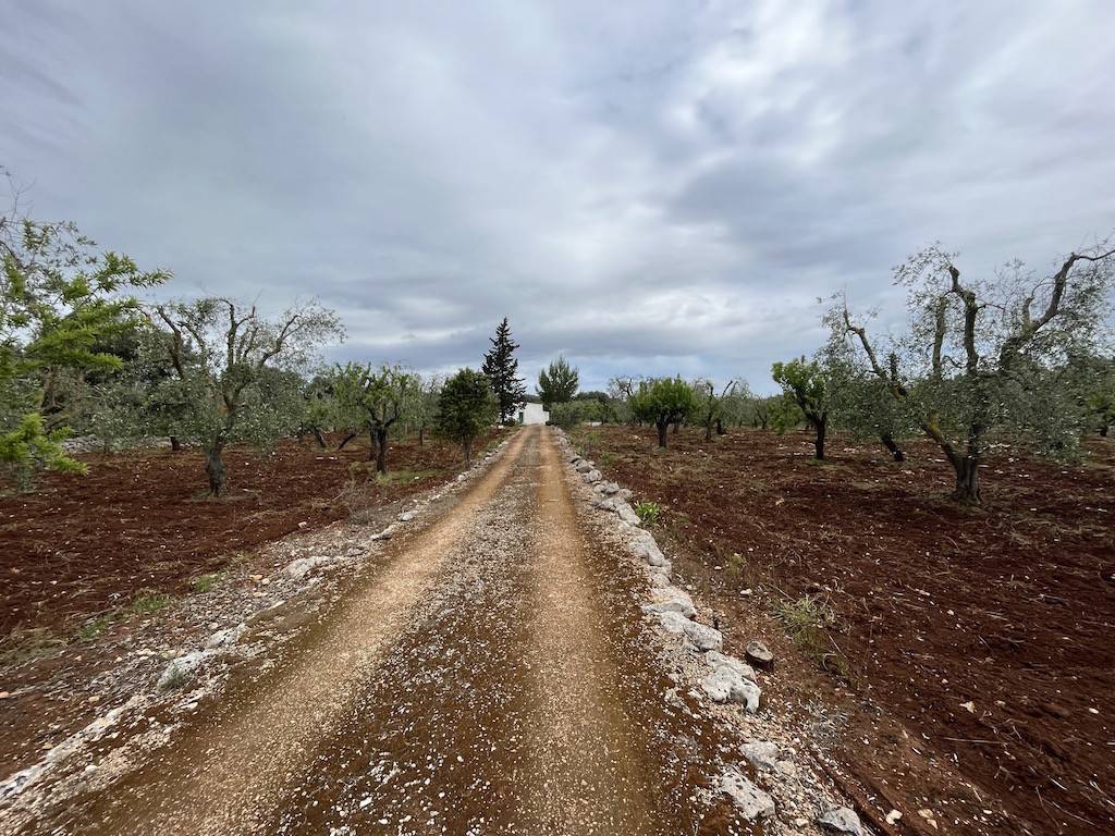 Rustico / casale a Ceglie messapica in SS581 - Foto 2