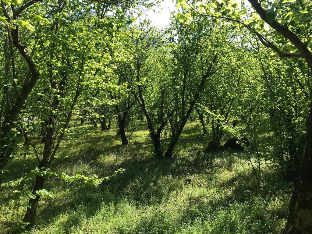 Terreno a Giffoni valle piana in Via Carbonara - Foto 2