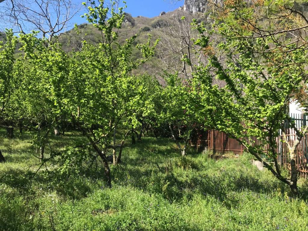 Terreno a Giffoni valle piana in Via Carbonara - Foto 5