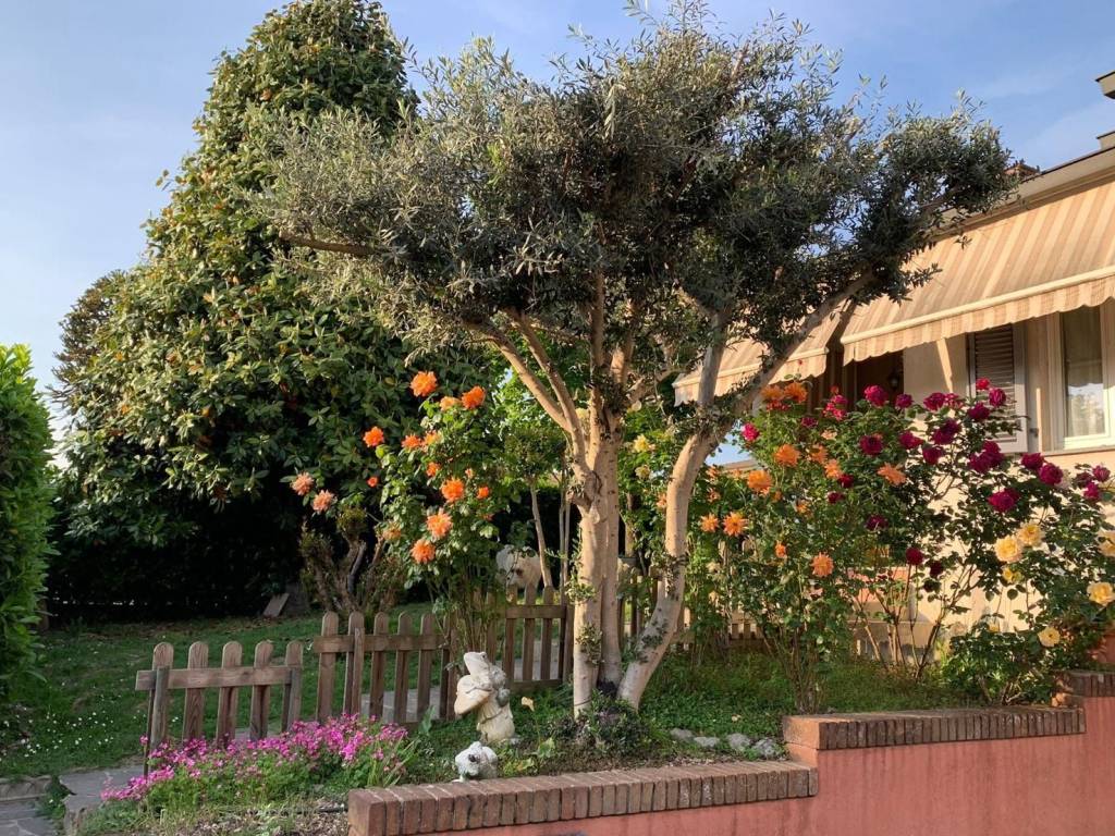 Villa a Borghetto lodigiano - Foto 2