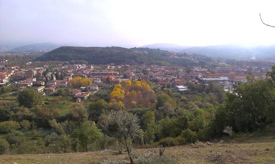 immagine di copertina