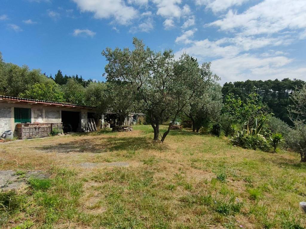 Casa indipendente a Montemurlo in Via Baronese - Foto 2