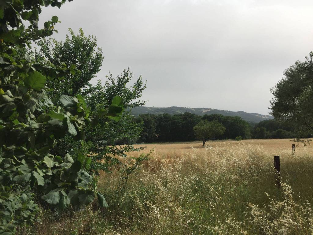 Rustico / casale a Ferrazzano in Contrada Piane - Foto 2