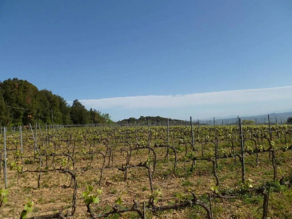 Immobile a Acquapendente - Foto 2