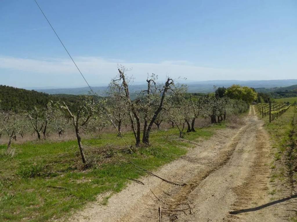 Immobile a Acquapendente - Foto 3