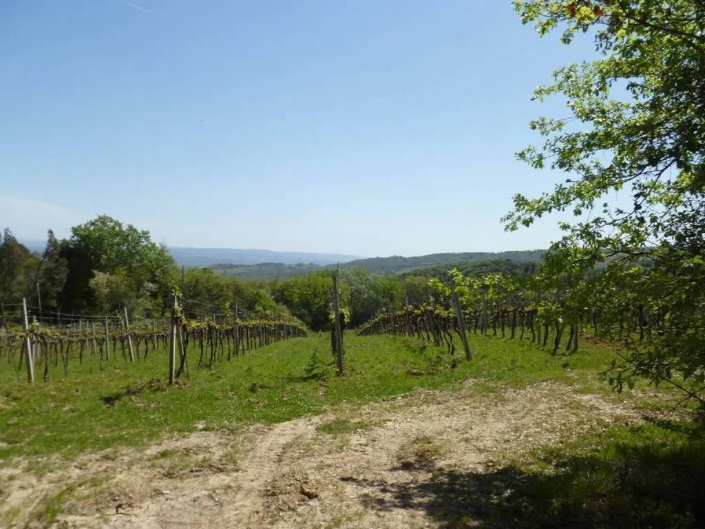 Immobile a Acquapendente - Foto 4