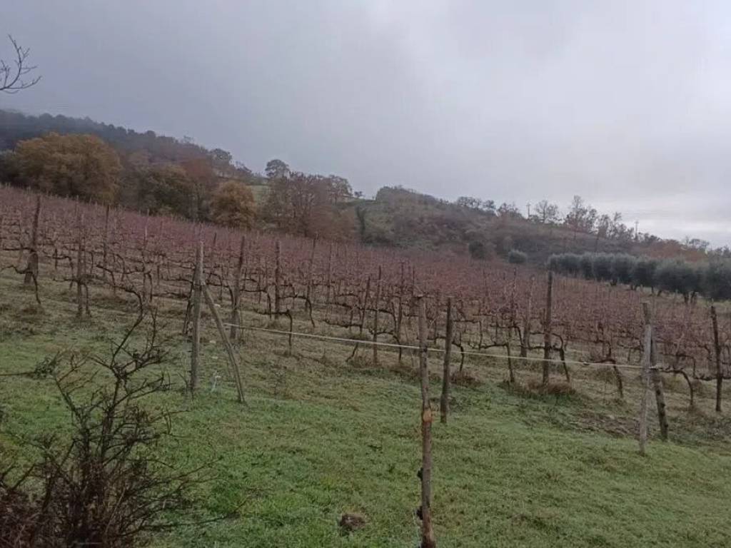 Immobile a Acquapendente - Foto 5