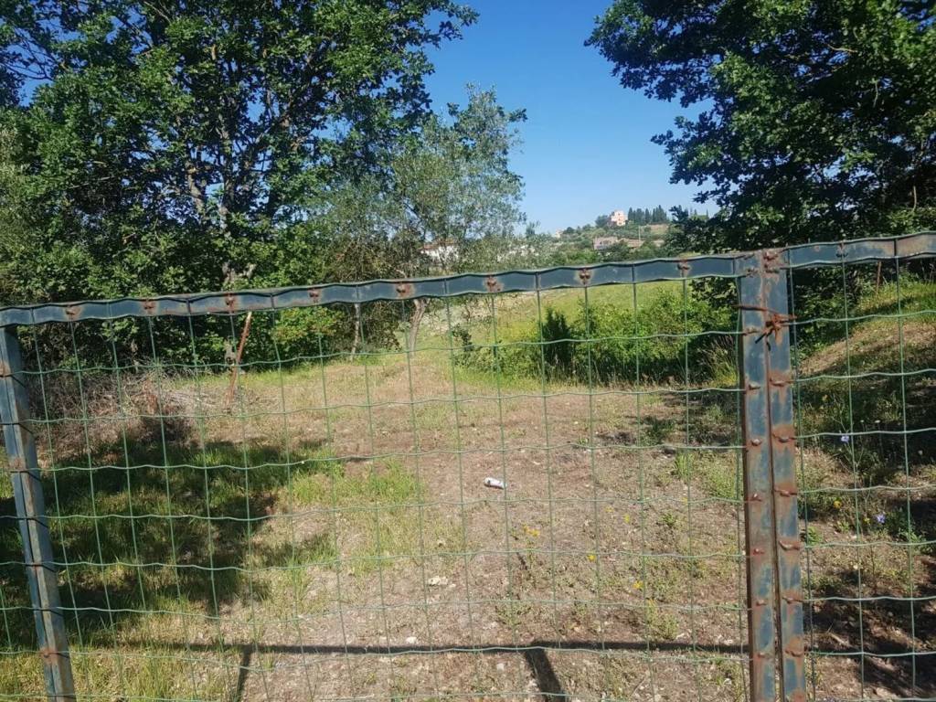 Rustico / casale a Torrita di siena - Foto 3