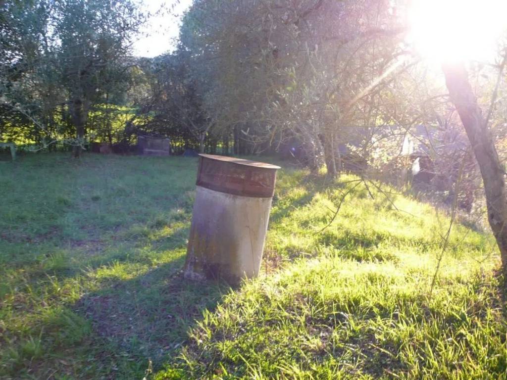 Rustico / casale a Torrita di siena - Foto 4