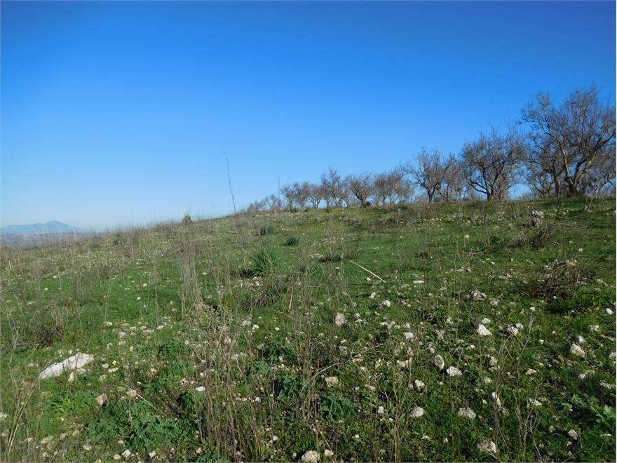 Terreno a Centuripe - Foto 2