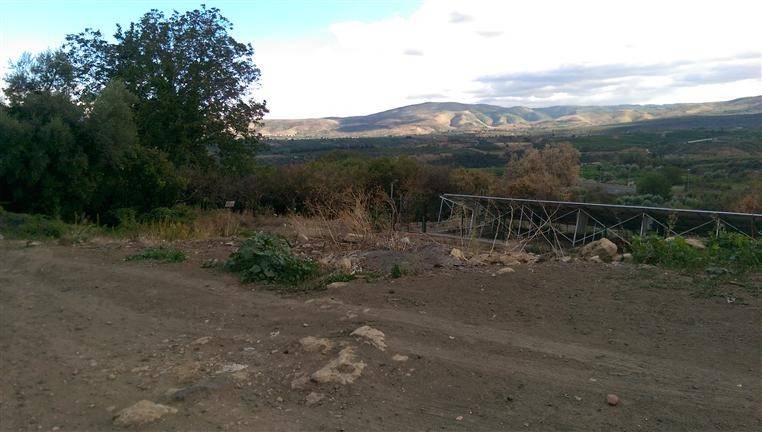 Terreno a Francofonte in C.DA QUADRI - Foto 2