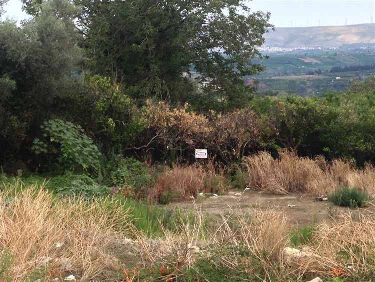 Terreno a Francofonte in C.DA QUADRI - Foto 3