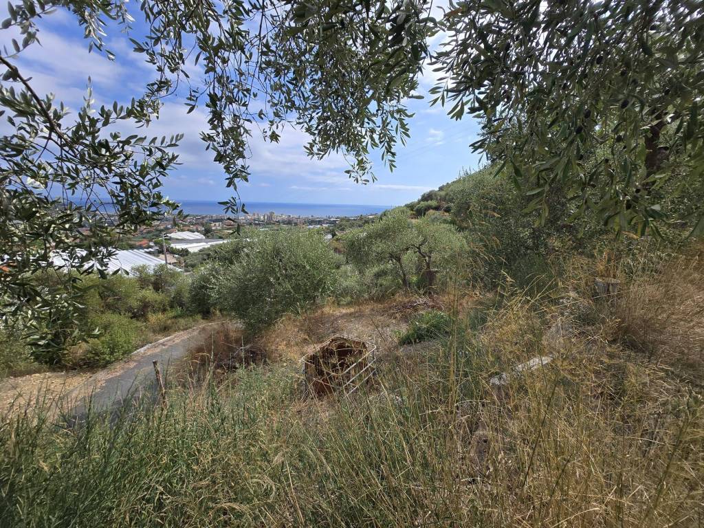 Terreno a Taggia in Via Beglini - Foto 2