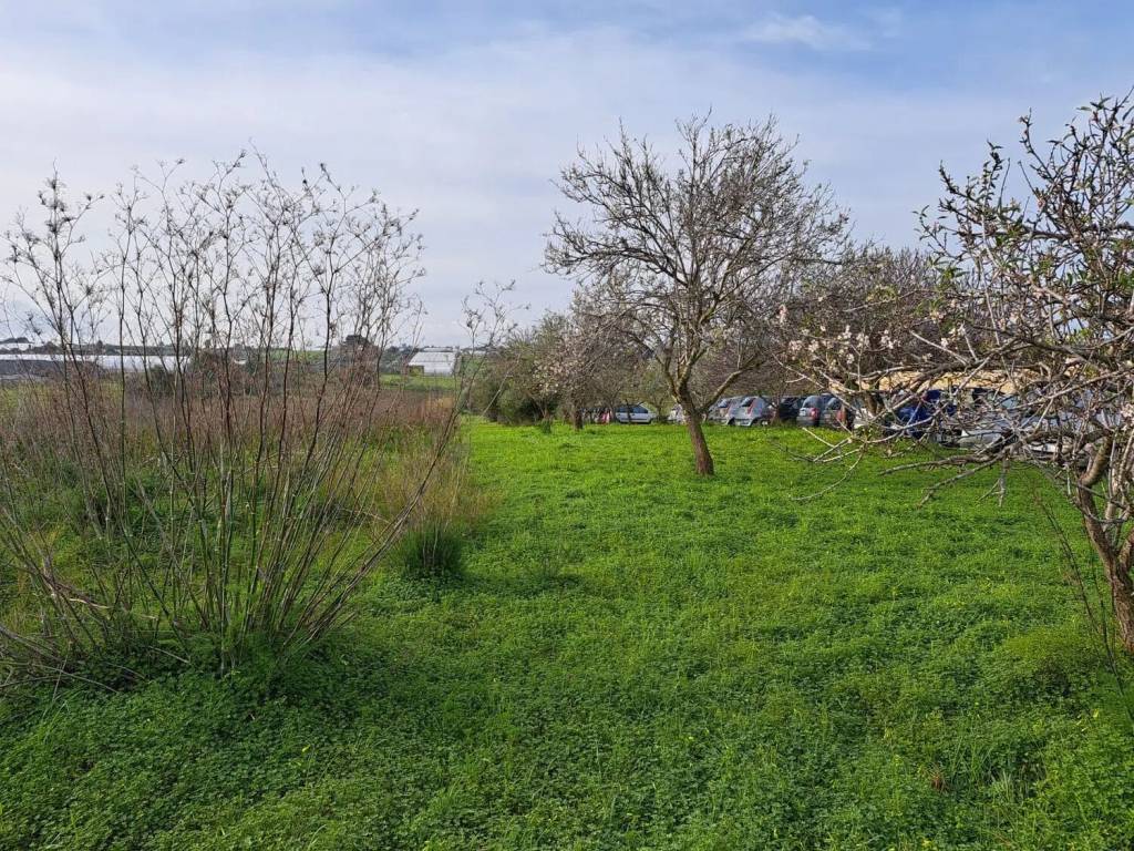 Terreno a Pachino in C/Da Carrata S.N.C. - Foto 2
