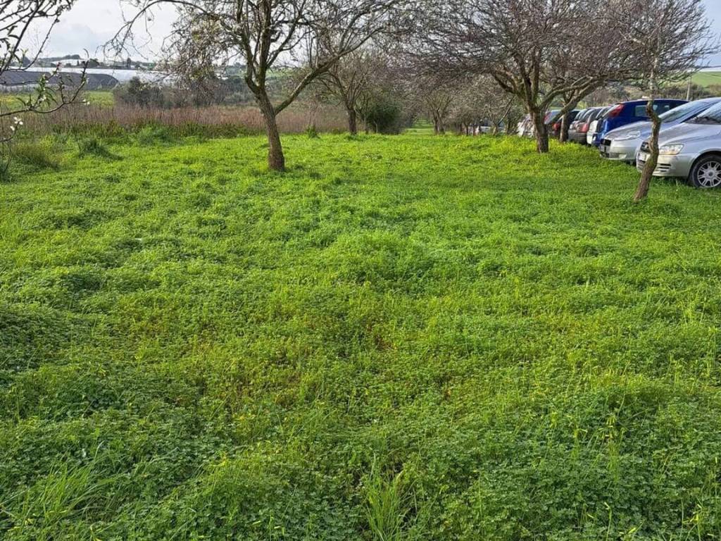 Terreno a Pachino in C/Da Carrata S.N.C. - Foto 3