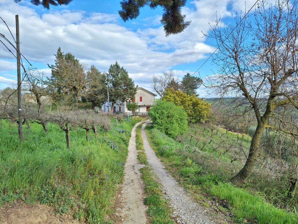 Casa indipendente a Foglianise in Via Palmenta - Foto 3