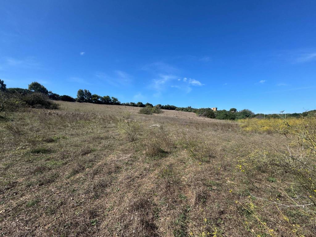 Terreno a Gonnesa - Foto 5