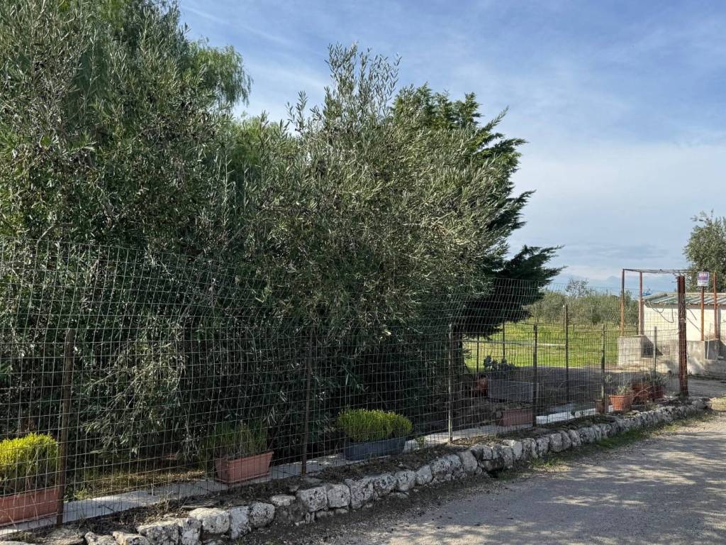 Terreno a Trani in Strada Moschetto - Foto 2