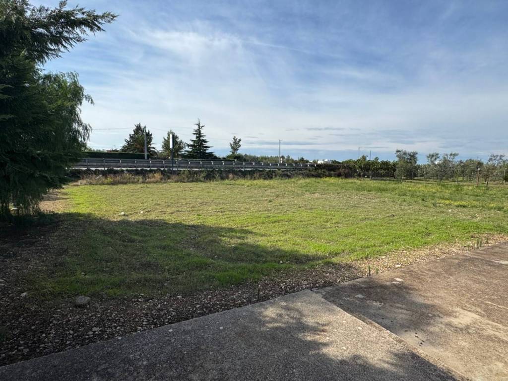 Terreno a Trani in Strada Moschetto - Foto 4