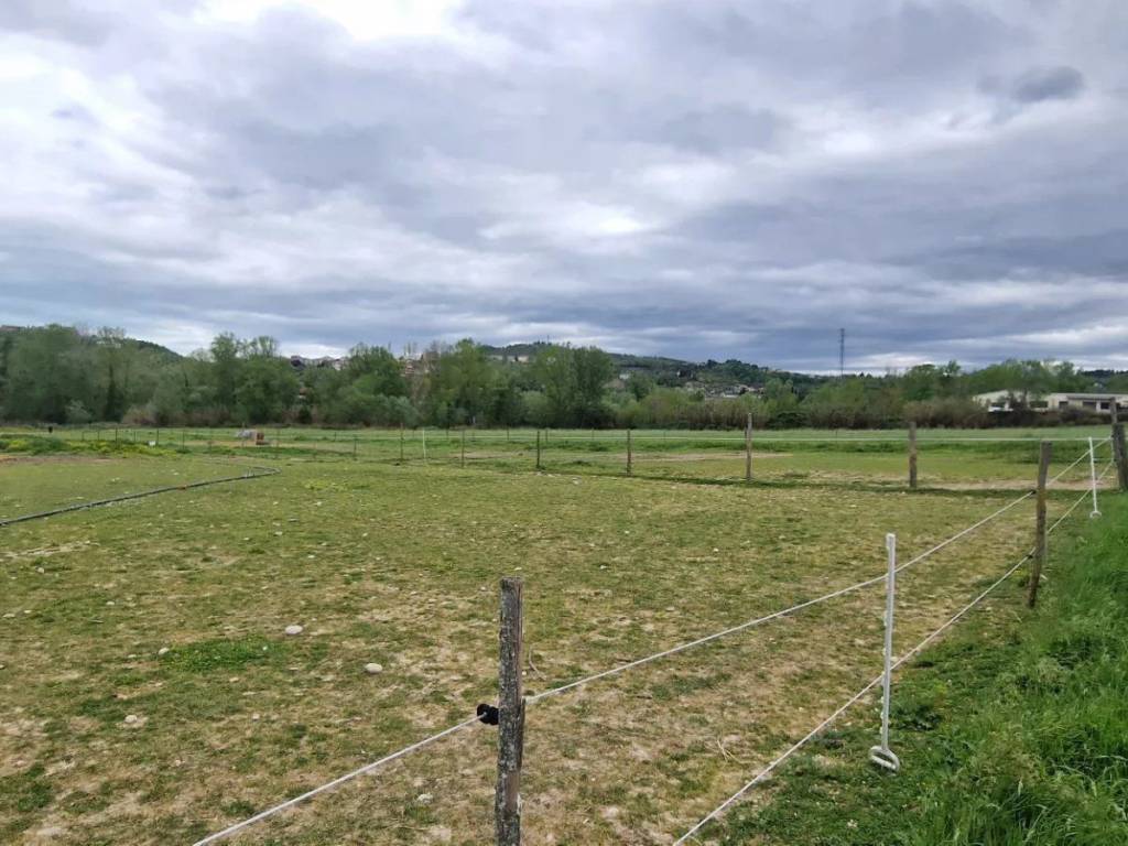 Terreno a Collecorvino in Via Le Piane - Foto 5