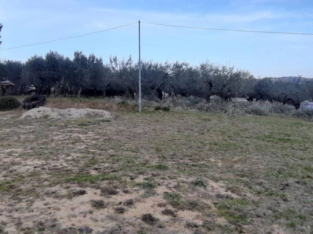 Terreno a Montesilvano in ViA Marco Polo - Foto 3