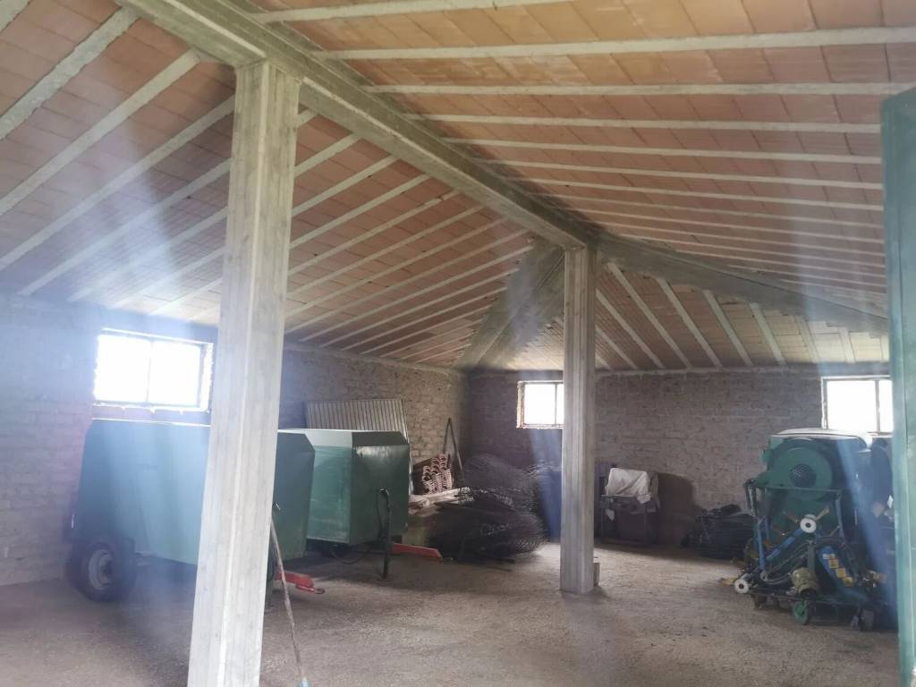 Terreno a Trevignano romano in Località Monte Dell'Olmo S.N.C. - Foto 4