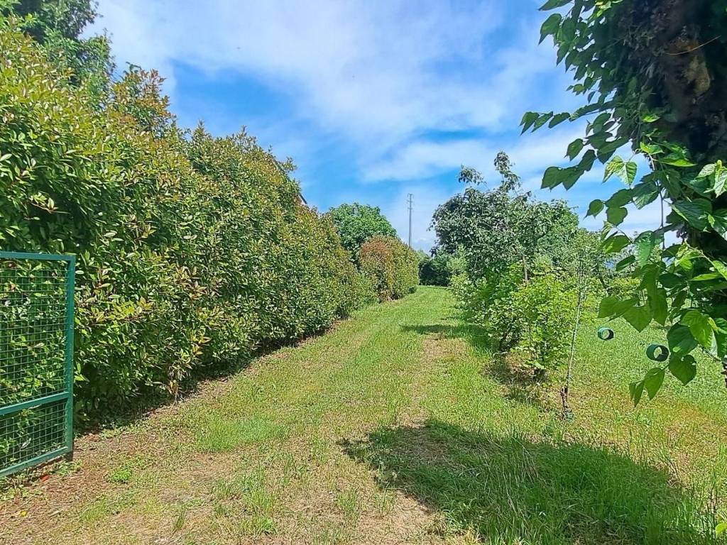 Terreno a Bolzano vicentino - Foto 2