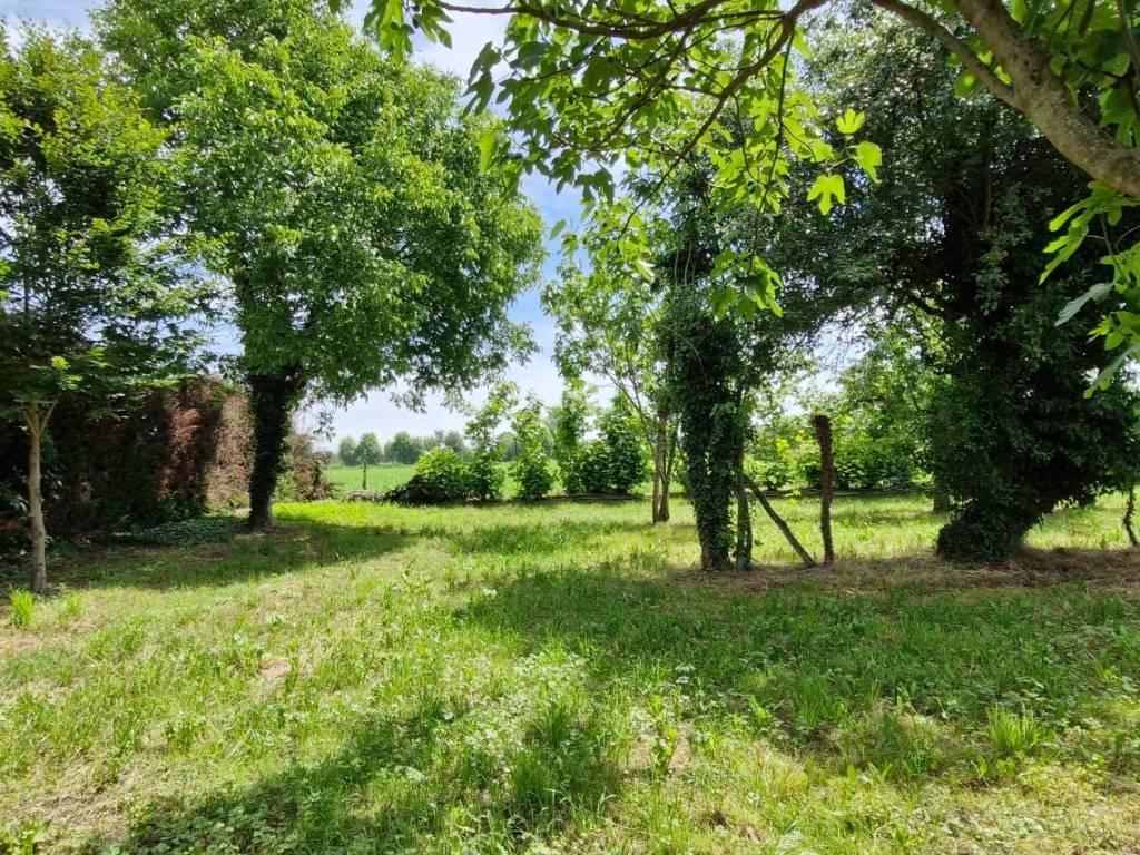 Terreno a Bolzano vicentino - Foto 3