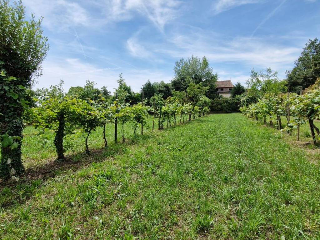 Terreno a Bolzano vicentino - Foto 4