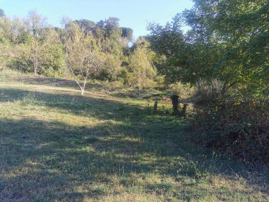 Terreno a Campagnano di roma in Via Di Baccano, 6 - Foto 5