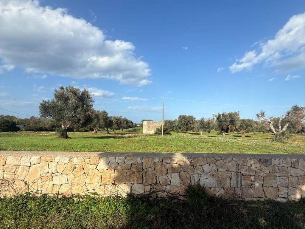 Terreno a Carovigno in Contrada Caselli Morggicchio - Foto 4