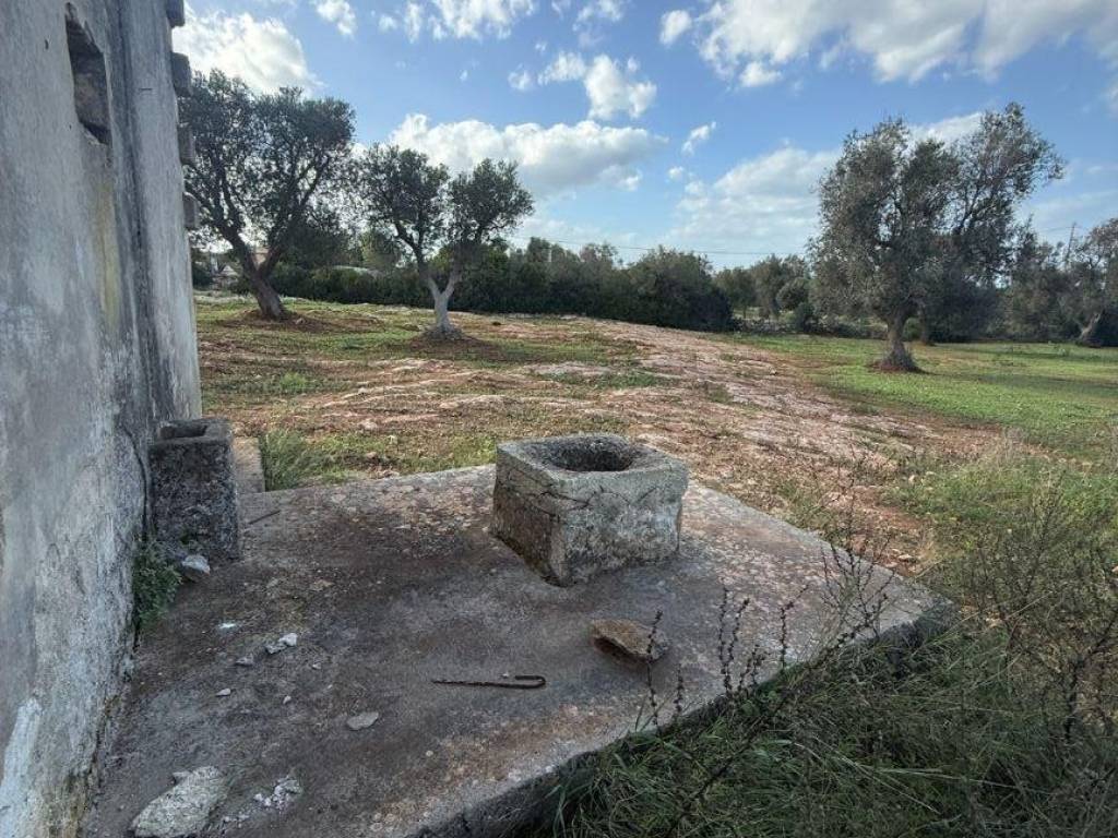 Terreno a Carovigno in Contrada Caselli Morggicchio - Foto 5