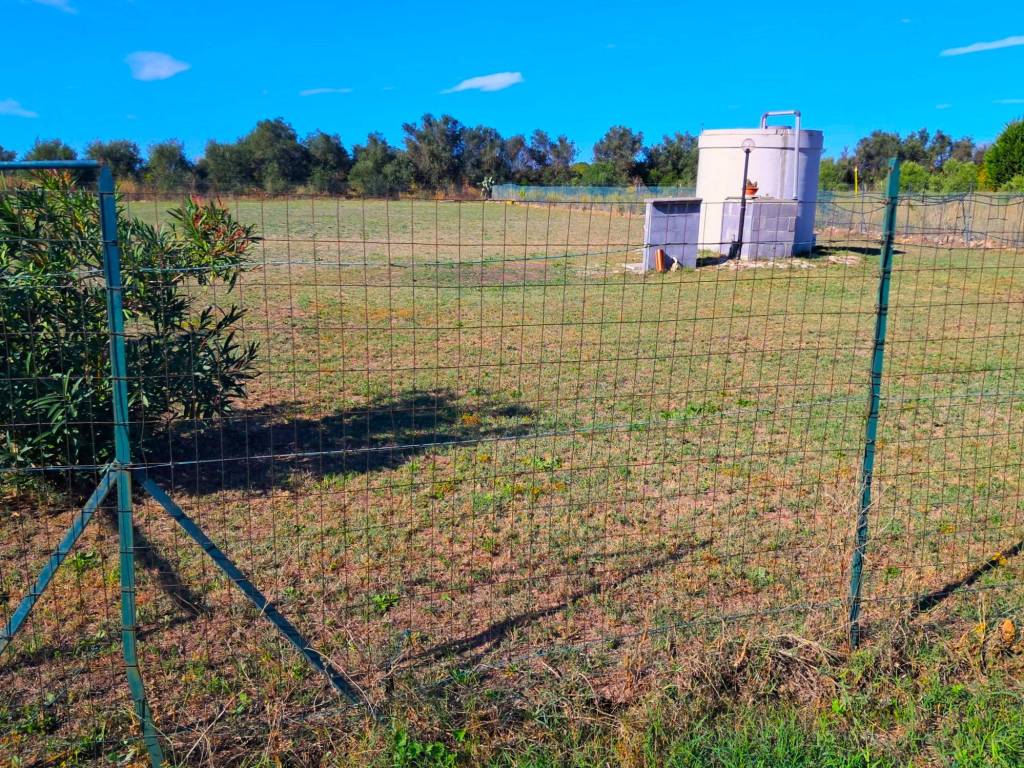 Terreno a Carlentini - Foto 3