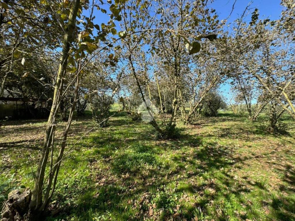 Terreno a San cesareo in Via della Faina - Foto 4