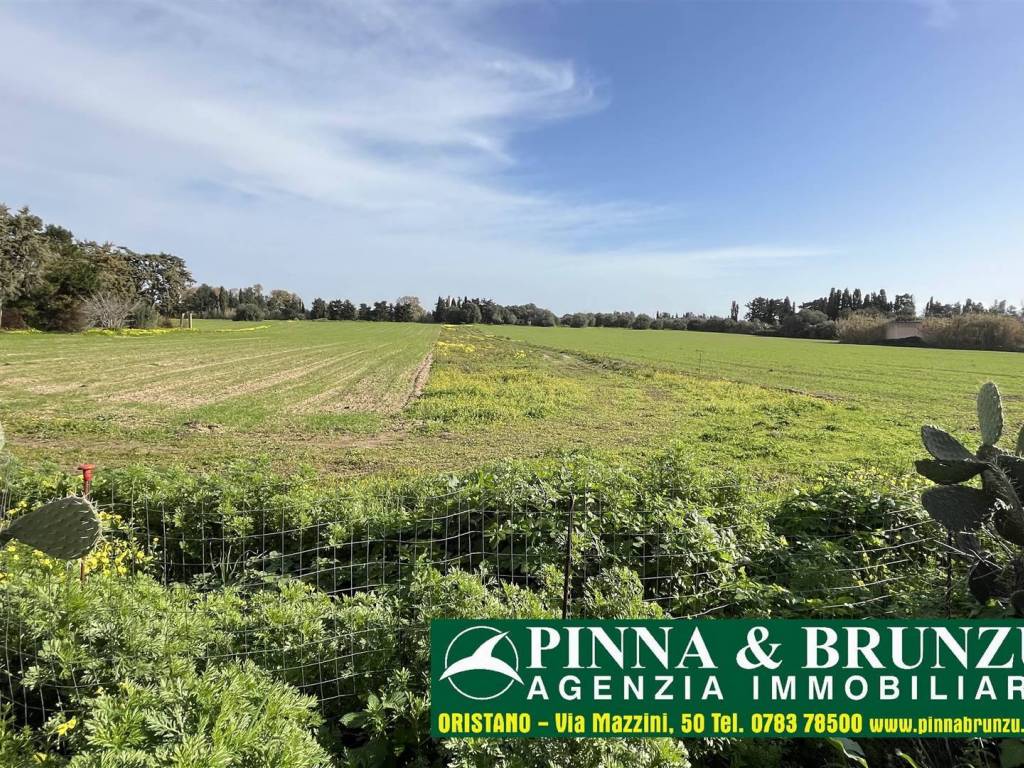 Terreno a Oristano in Via Oristano - Foto 2