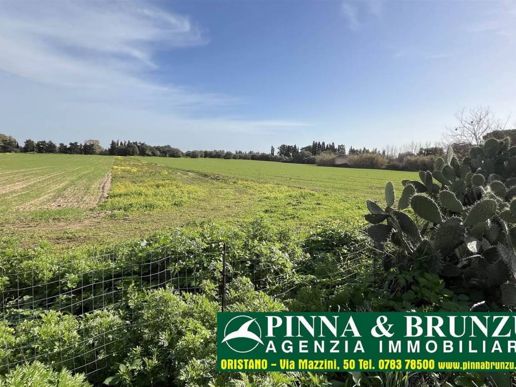 Terreno a Oristano in Via Oristano - Foto 3