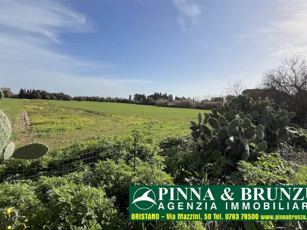 Terreno a Oristano in Via Oristano - Foto 5