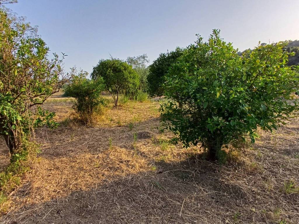Terreno a Caltagirone in Via Giuseppe Garibaldi - Foto 3