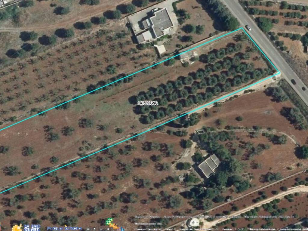 Rustico / casale a Carovigno in Contrada Colacurto - Foto 4