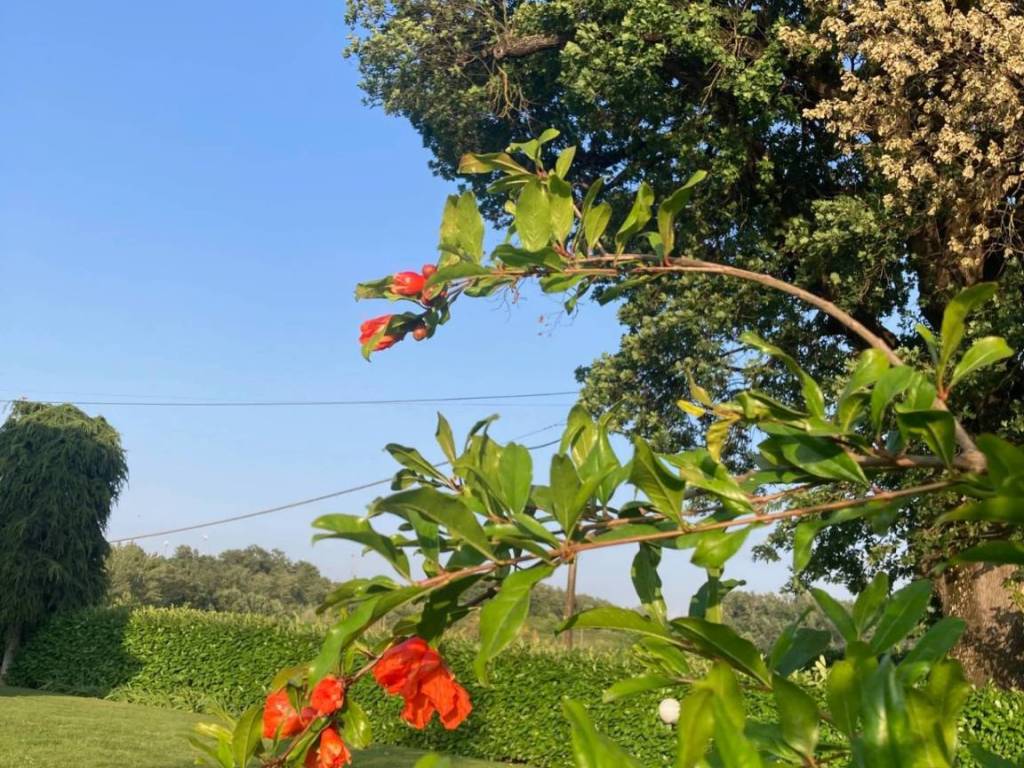 Terreno a Induno olona in via iamoretti - Foto 3
