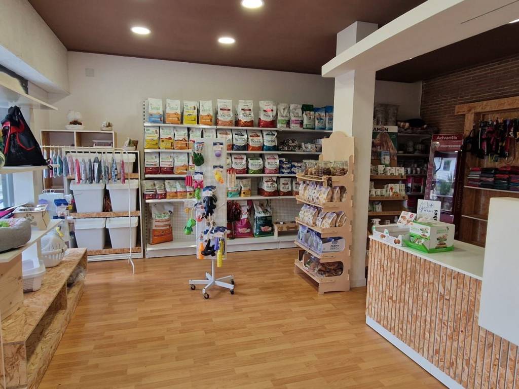 Immobile a Maddaloni in Via Napoli - Foto 5