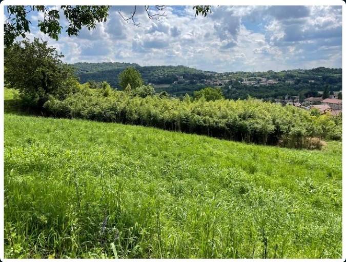Terreno a Castello di brianza in Via San Carlo - Foto 4