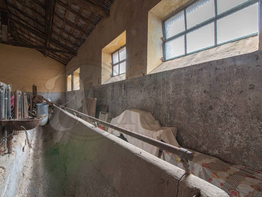 Rustico / casale a Ceprano in Via Pennea, 7 - Foto 3