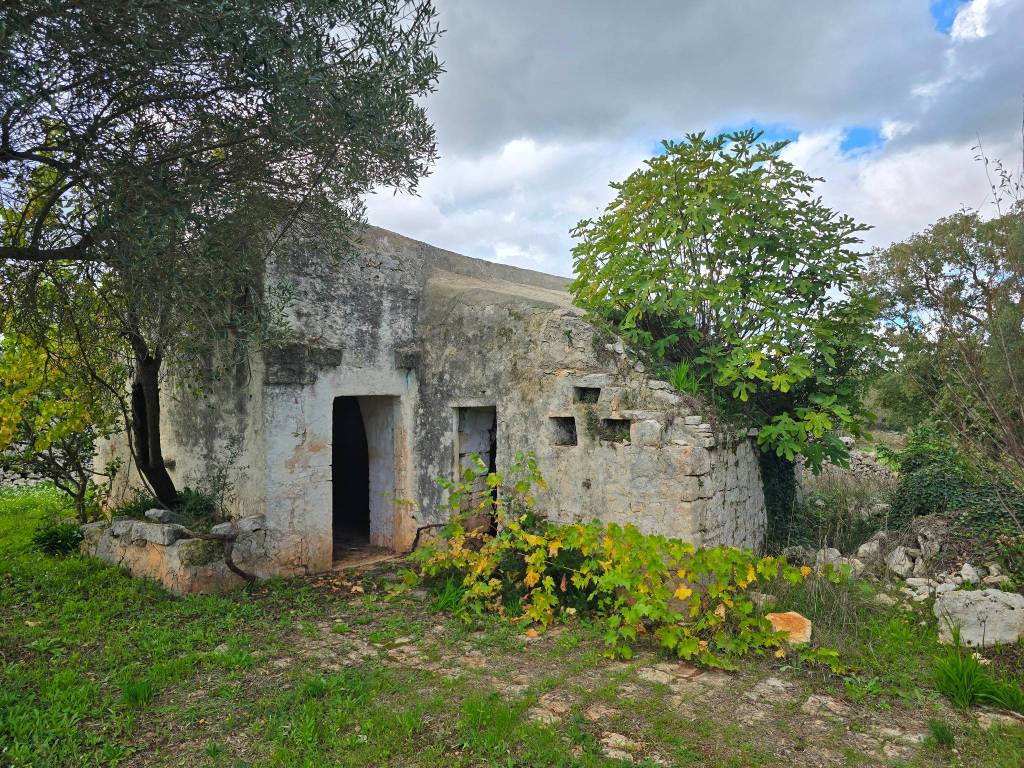 Rustico / casale a Ceglie messapica - Foto 3