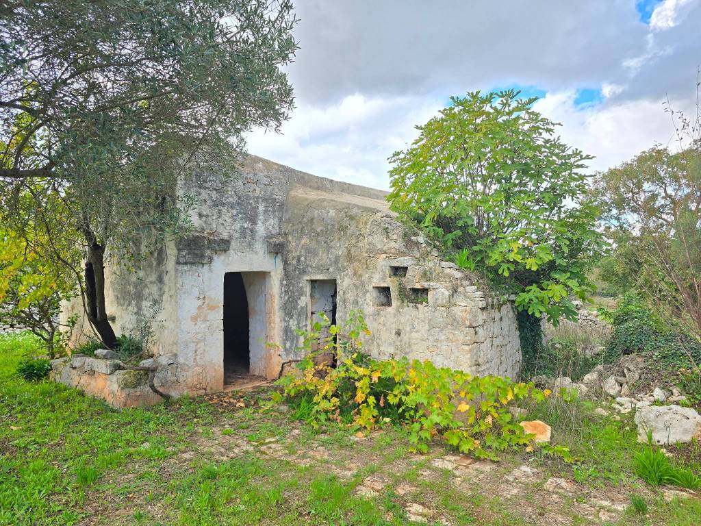 Rustico / casale a Ceglie messapica - Foto 4
