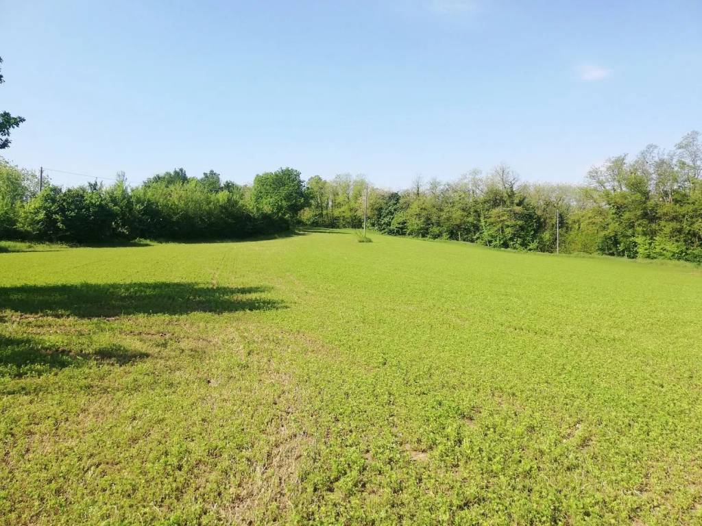 Terreno a Borgonovo val tidone - Foto 4